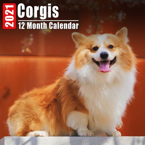 Calendar 2021 Corgis Cute Corgi Photos Monthly Mini Calendar With