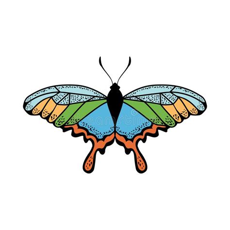 Icono de la mariposa ilustración del vector Ilustración de aislado