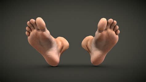 Female Feet 3d Model