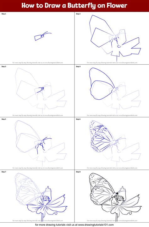 How To Draw A Butterfly On Flower Printable Step By Step Drawing Sheet