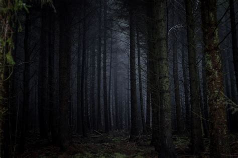 Spooky Stories Forestry And Land Scotland