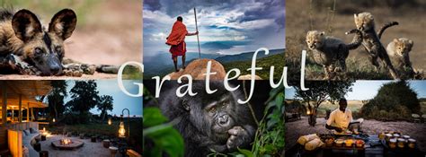 Camping adventure cover templates fully layered indd fully layered psd idml format open indesign cs4 or later complet. Facebook Cover Photo - June 2020 - Africa Adventure ...