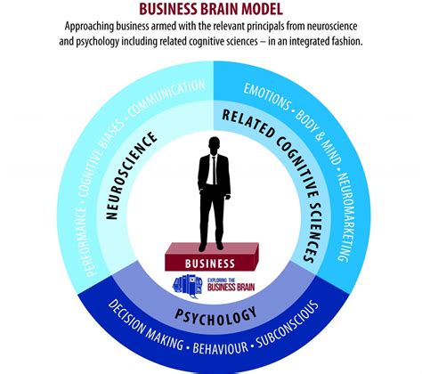 Business Brain Model℠ Exploring The Business Brain