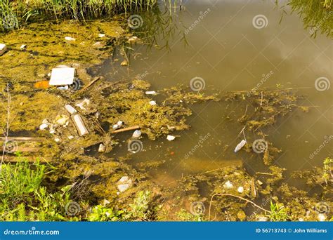 Pollution Filled Dirty Water Pond Stock Image Image Of Unclean Waste
