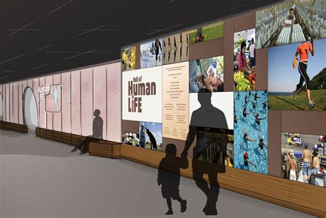 Beth Malandain Design Hall Of Human Life Exhibit
