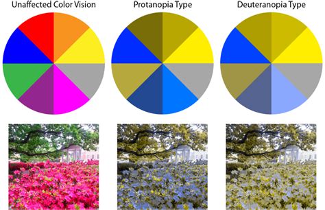 Color blindness is an abnormal condition characterized by the inability to clearly distinguish different colors of the spectrum. Being Mindful of Color when Making Figures | The Pipettepen
