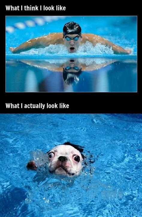 What You Think You Look Like Vs What You Actually Look Like Swimming