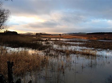 Rspb Loch Of Kinnordy Nature Reserve Angus Boxing Day 2 Brian