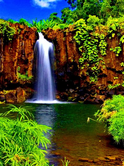 Free Download Tropical Waterfall Computer Wallpapers