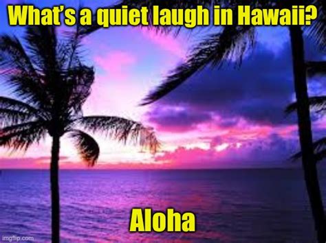Aloha Ha Ha Imgflip