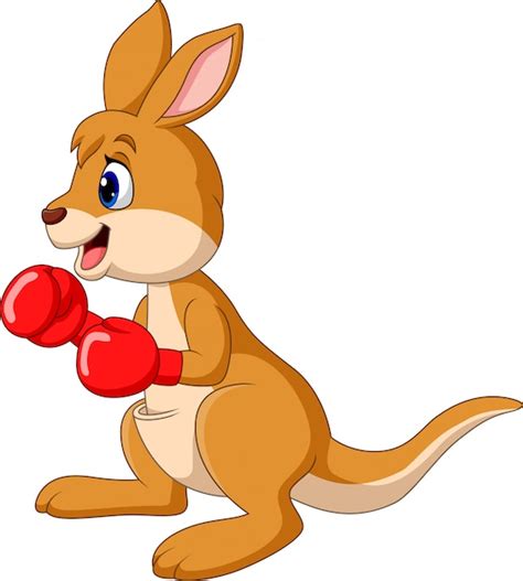 Boxing Kangaroo Cartoon Music Is