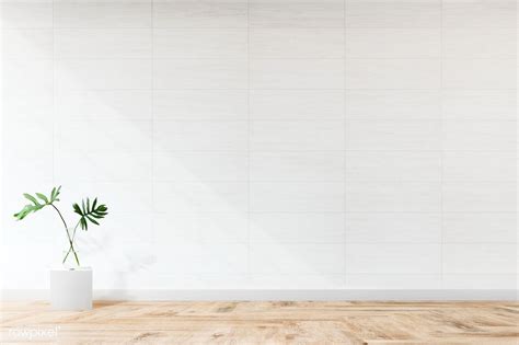 Plant Against A White Wall Mockup Free Image By Frames