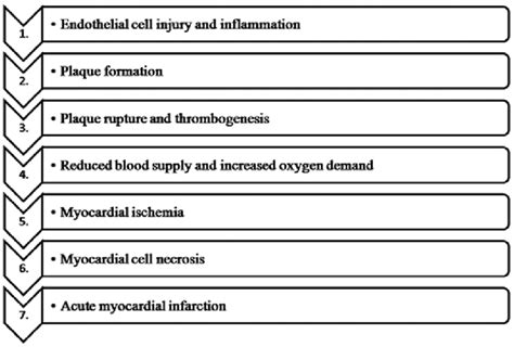 Schematic Representation Of The Pathogenesis Of Myocardial Infarction