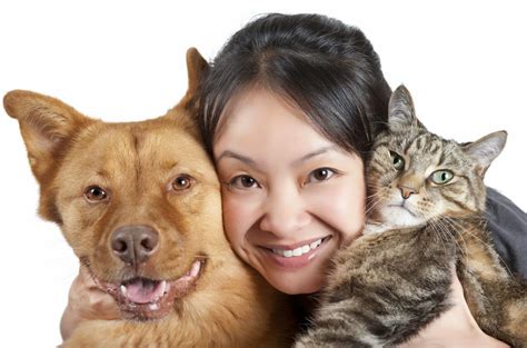 A Better Relationship With Your Pet Morris Animal Inn