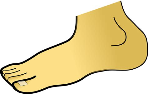 Toes Icons Png