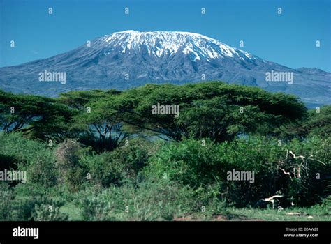 Mount Kilimanjaro Tanzania East Africa Africa Stock Photo Alamy