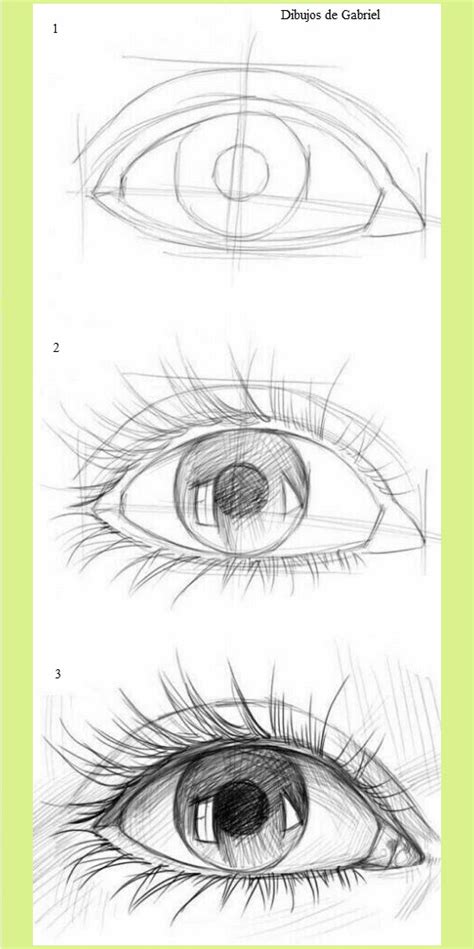 Cómo Dibujar Ojos 】 Paso A Paso Muy Fácil 2024 Dibuja Fácil