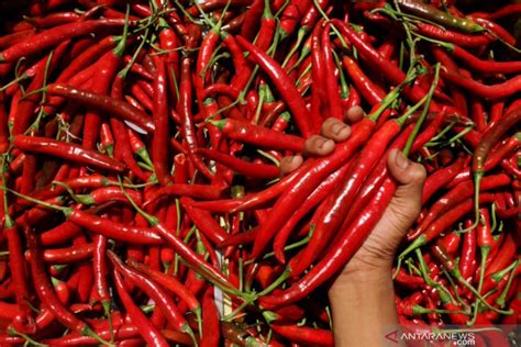 9 Sayuran Merah yang Mulai Dilirik karena Khasiatnya Bagi Tub - GenPI