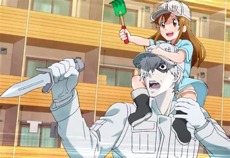 Cells At Work Anime Review The View From The Junkyard