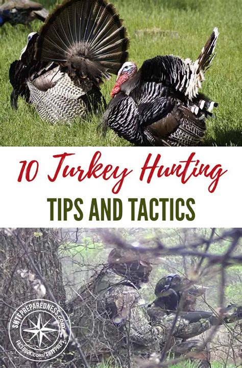 10 Turkey Hunting Tips And Tactics