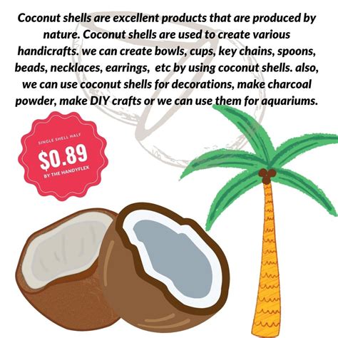 Coconut Shell Half Etsy