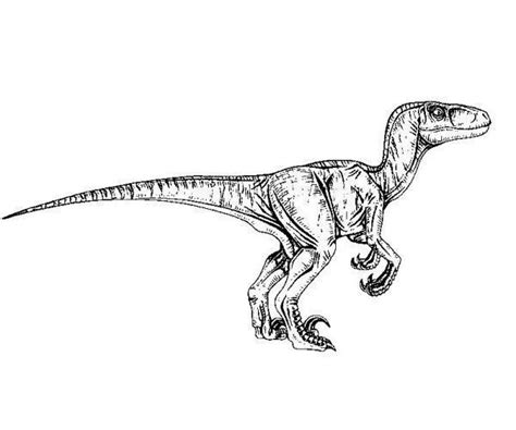 Jurassic World Raptor Coloring Pages