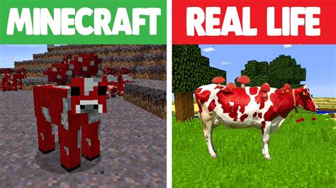 Realistic Minecraft Expectation Vs Reality 12 Minecraft Real Life