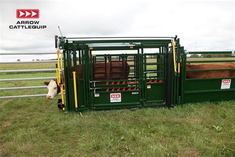 Cattle Squeeze Chute Holding Livestock Cattle System Animal Science