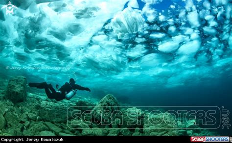 Ice Diving In Tobermory Ontario Underwater Photography Diving