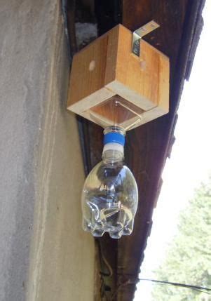 Mason jar carpenter bee trap idea. Carpenter Bee Trap, Small Version | Carpenter bee trap ...