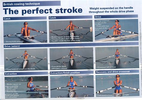 Pin By Chi Sham Tang On Sports Fitness Excercises Rowing Technique Rowing Rowing Workout