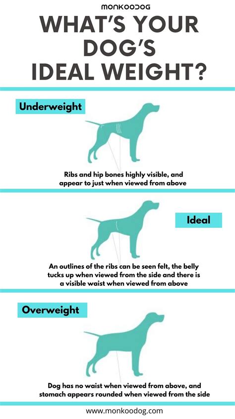Dog food calculator weight loss. Puppy Weight Calculator | Dog weight, Your dog, Dog facts