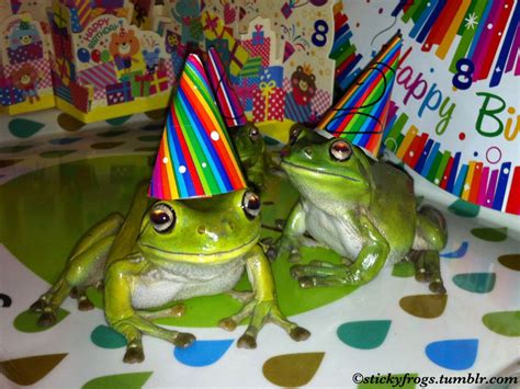 Cute Matching Frog Pfps Matching With Frog And Toad