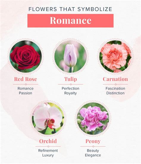 Kinds Of Flowers And Their Meanings Romantic Flowers Flower Meanings