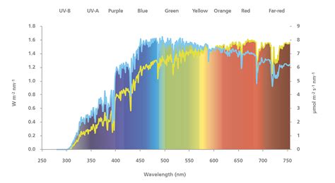 Sunlight Spectrum - Valoya LED Grow Lights