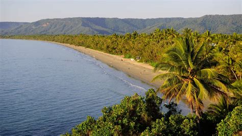 Latest holiday packages & accommodation deals for the islands of queensland. Tropical North Queensland Holidays | Book For 2020/2021 ...