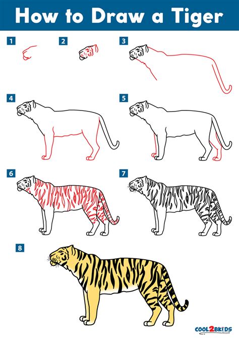How To Draw A Step By Step Tiger