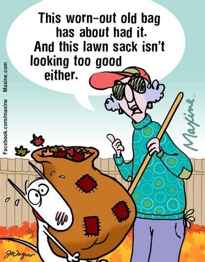 Maxine Commenting On The Worn Out Old Bag Fall Humor Minions Humor