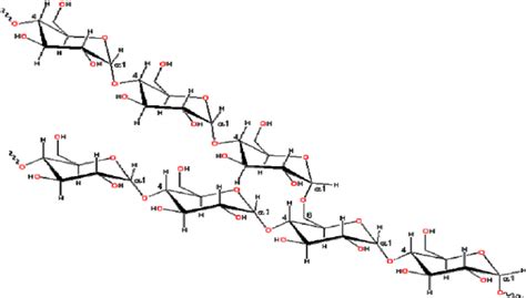 12 Structure Of Amylopectin Download Scientific Diagram