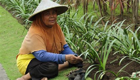 Melalui jasa bangun rumah bogor 081270328816 lanjutkan membaca lowongan tukang bangun rumah di bogor. Seekmi marketplace jasa lokal Indonesia