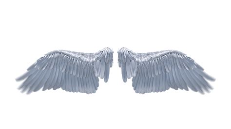 Looping Angel Wings Flapping 1 Effect Footagecrate Free Fx Archives