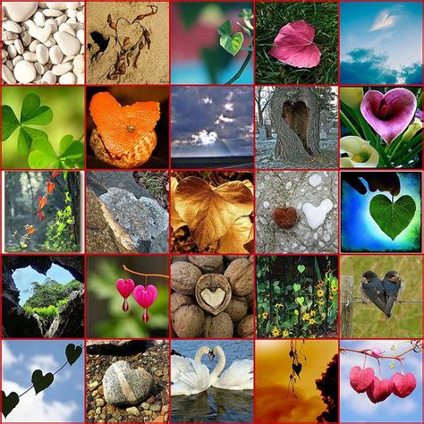 Natural Hearts Beautiful Collage Heart In Nature I Love Heart