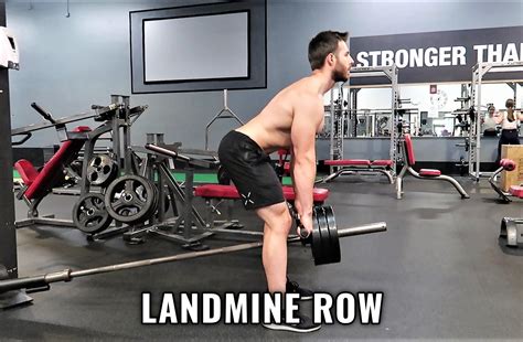 Bent Over Barbell Row Muscles Worked And Proper Form