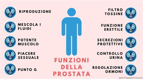 Le 10 Strabilianti Funzioni Della Prostata