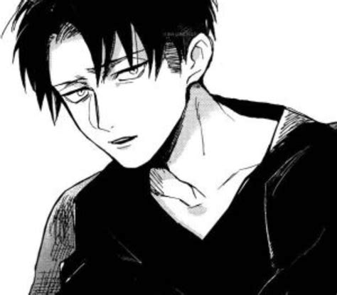 Levi X Reader My Beloved Chapter 16 Wattpad