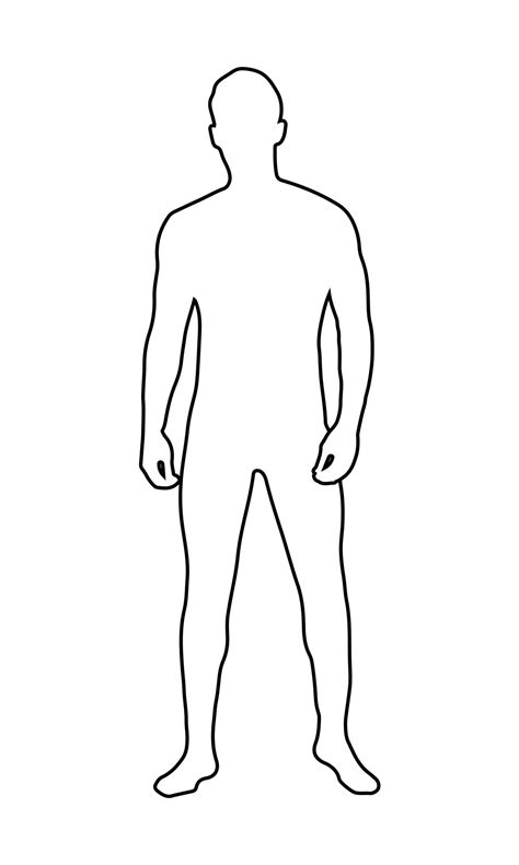 Vector Outline Human Body Mens Figure In Linear Style The Outline Of A Young Man Black And