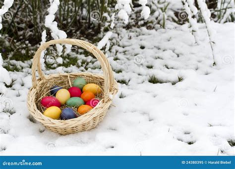 Easter Eggs In Snow Stock Image Image Of Happy Color 24380395