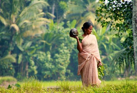 The Coconut Diaries A Quintessential Part Of The Indian Culture