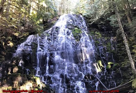 Ramona Falls Mt Hood Oregon Exploring My Life