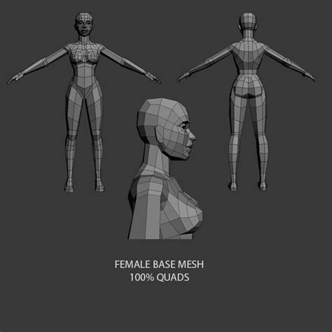 Low Poly Female Base Mesh Female Base Low Poly Low Poly Character